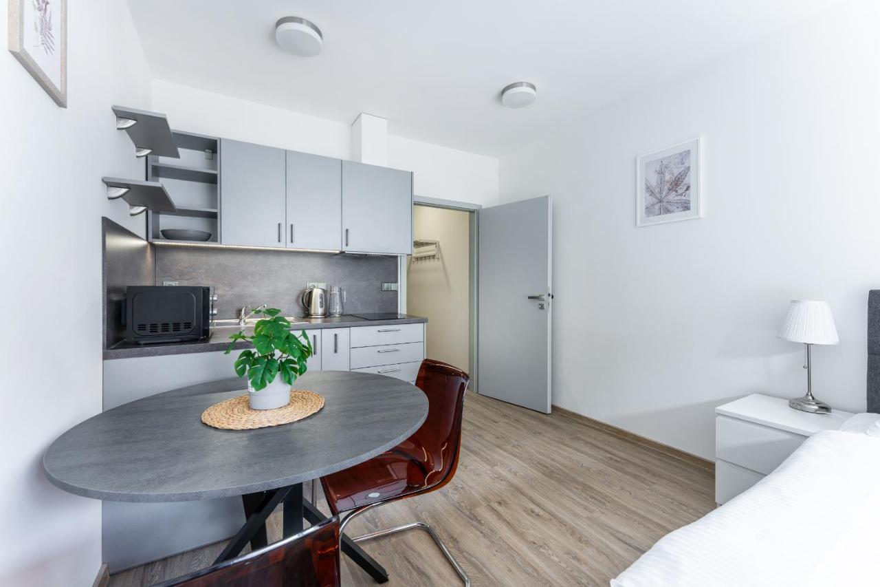 Apartman V Podebradech Poděbrady Buitenkant foto