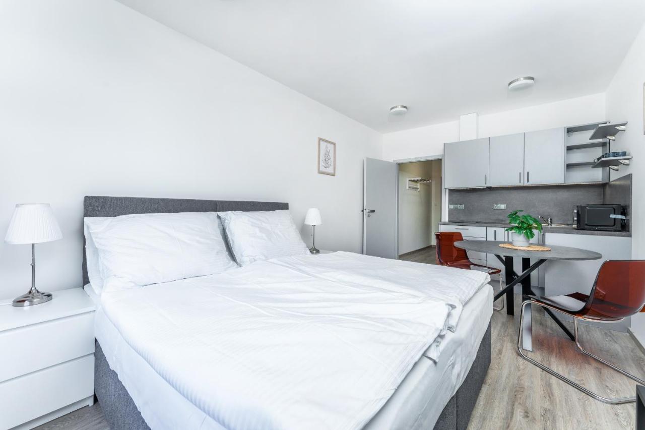 Apartman V Podebradech Poděbrady Buitenkant foto