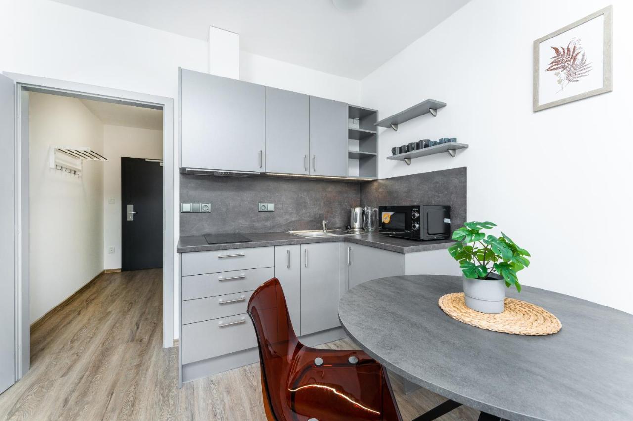 Apartman V Podebradech Poděbrady Buitenkant foto